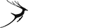 安全支付保障的手机号轰炸